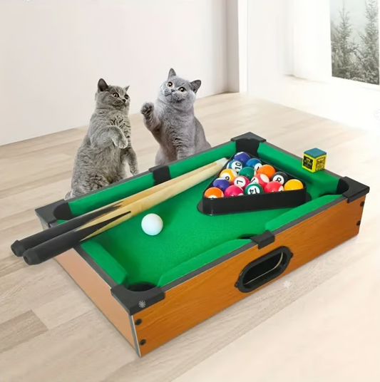 Mini Billiards Table