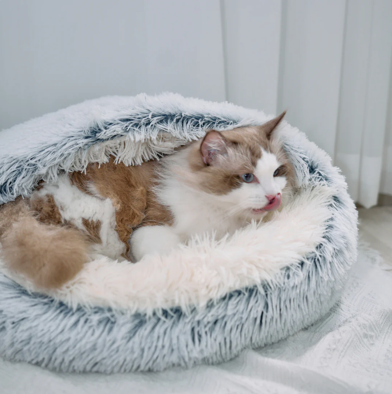 Cozy Winter Pet Bed